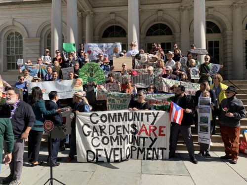 NYC community gardeners and supporters gathered outside City Hall to protest the perceived unfair license agreements between their garden volunteer groups and the NYC Parks Department on September 19, 2019. Used with permission from the New York City Community Garden Coalition.
