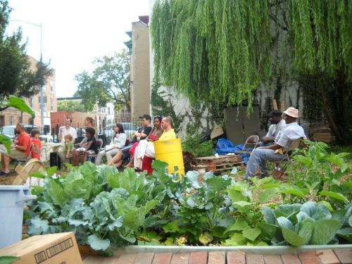 Garden members gathered at the Maple Street Community Garden in Prospect Lefferts Gardens, Brooklyn. The side with the large willow tree is the one that will most likely become an official NYC Park, and the side with the vegetable beds will most likely continue to operate as a GreenThumb community garden. Photo retrieved from the Maple Street Community Garden Facebook page at https://www.facebook.com/maplestreetcommunitygarden