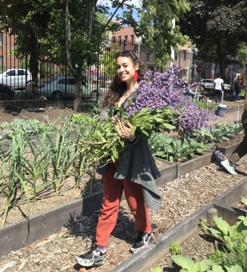 Lots to Grow host, Jessica Saab, at the Good Life Garden in Bushwick, Brooklyn, in May 2019, holding pruned sage